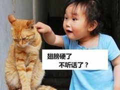 软件工程师的鄙视链