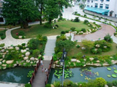 4G商用一周年，浙江移动4G让江南水更美