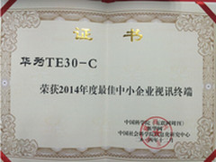 华为获2014年度最佳中小企业视讯终端奖