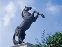 家庭必要升级的智能设备 让网速飞一会