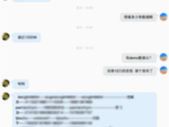 浙江卫视就12306泄密事采访安恒白帽子