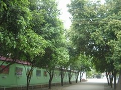 构建智慧校园 浪潮为西山小学打造样板