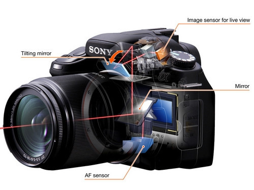 微单对焦哪家好 浅谈索尼微单AF技术