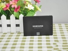 迎接新年超值购 多款SSD固态硬盘大搜罗