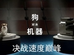 PK汪星人决战速度巅峰 谁才是极速之王