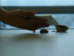 暴力砸核桃 小辣椒6双镜面强度测试