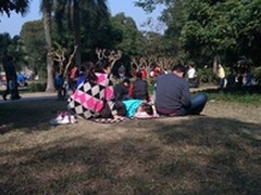 DIY的乐趣 中兴V5 Max图片编辑功能试玩