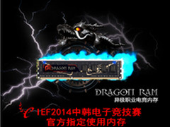 异极职业电竞内存 进入中国市场
