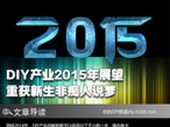重获新生非痴人说梦 DIY产业2015年展望