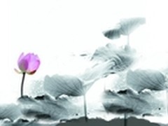 奢侈品中的绚丽 AOC LV3仅供欣赏使用