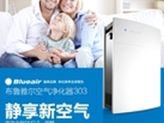 北京布鲁雅尔303空气净化机年终热卖