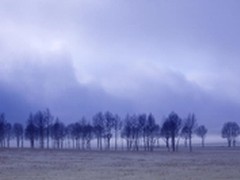 白平衡是什么？