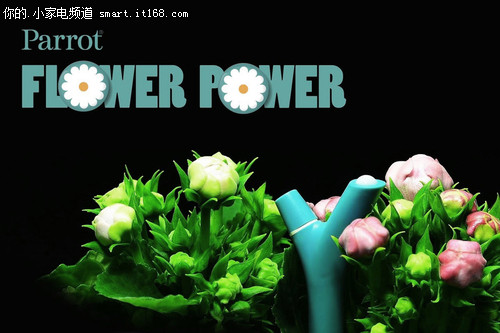 享智能园艺乐趣 派诺特FlowerPower试用