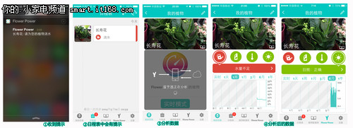享智能园艺乐趣 派诺特FlowerPower试用