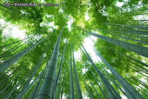 居家旅行必备 带上一支黄金焦段出去玩