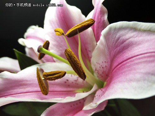 OPPO N3 PI原画引擎体验：高清画质 