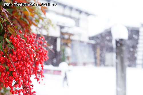 冬季到日本来看雪！佳能G7 X之日本行