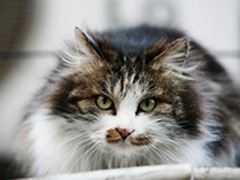 什么是曝光锁定