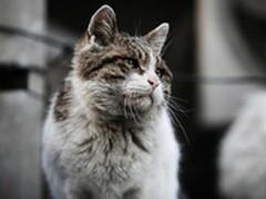 曝光模式四个档位有什么区别？