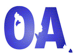 CIO开年困惑之OA选型五大法宝