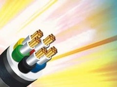 安防线缆市场前景大好 缺乏行业标准