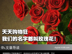 天天购物狂 我们的名字都是玫瑰花！