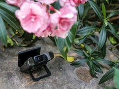 冬日里的绿意 佳能LEGRIA mini X体验