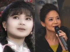 黑洞门致婉君破财 信息泄漏被骗800万