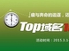 中国互联top域名--由您指点江山