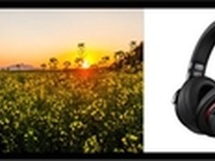 带着音乐去赏花 索尼为你开启缤纷春日