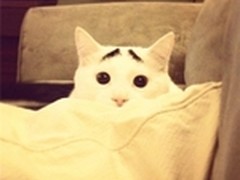 值得买早报 5.5公斤小天鹅洗衣机788元