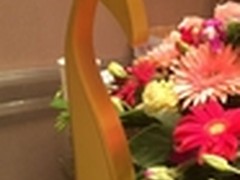乐视摘得2015艾普兰最受大众欢迎产品奖
