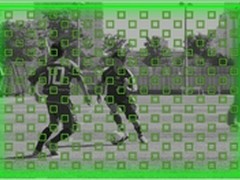 索尼微单a6000评测4D对焦 带领疾速对焦