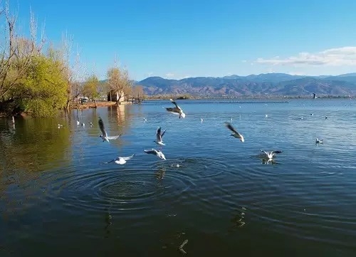 西昌邛海,不输洱海