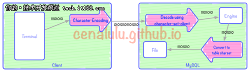 10分钟学会理解和解决MySQL乱码问题