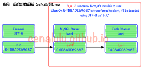 10分钟学会理解和解决MySQL乱码问题