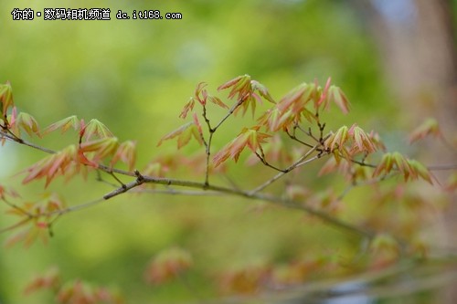 旗舰级标变 富士XF16-55 F2.8镜头试用