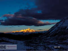 富图宝携手IBE深入多地开展生物调查