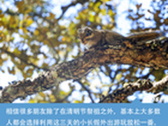 清明节游玩攻略 看小编推荐什么神装备