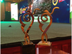 易传媒斩获金鼠标两项大奖 