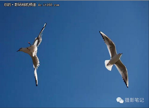 摄影笔记 居中法构图一定要有个大主体