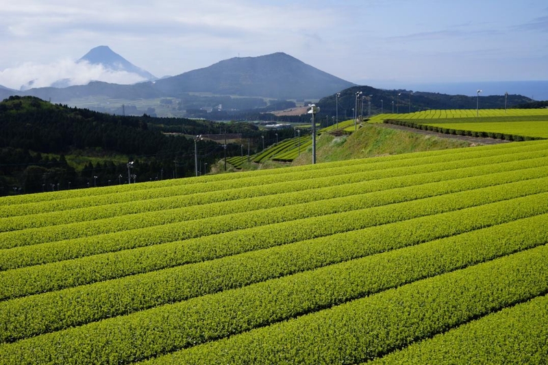 【图】与4D对焦共舞 索尼发布A卡口全幅新镜