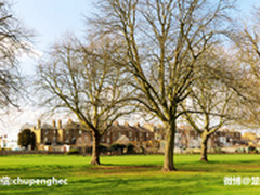 追随花儿与少年 佳能小马克兔行摄伦敦