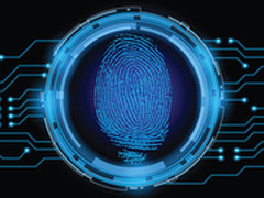 指纹识别又是一只站在风口的小飞猪？
