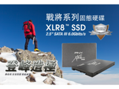 提速将再降价 PNY XLR8 SSD 240G仅589