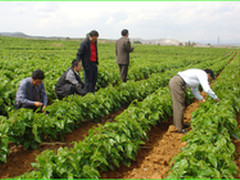 互联网+，让农业玩出新花样