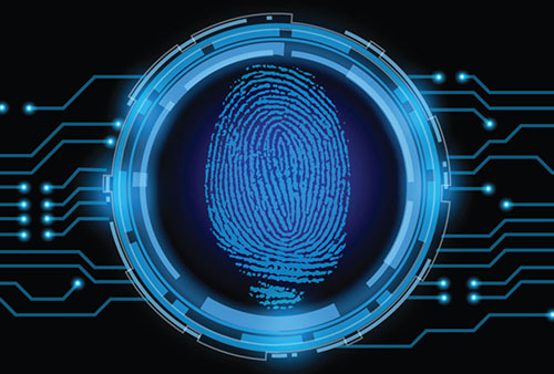 指纹识别又是一只站在风口的小飞猪?-IT168 安防监控专区