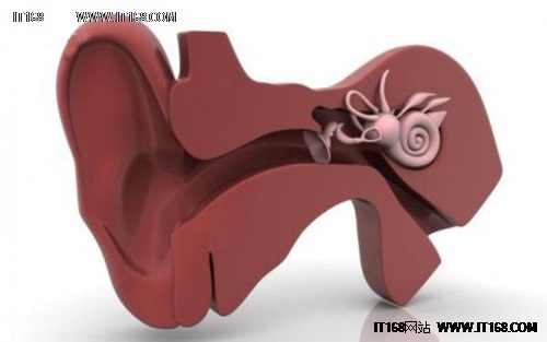 科学家使用3D打印技术制造耳膜支架