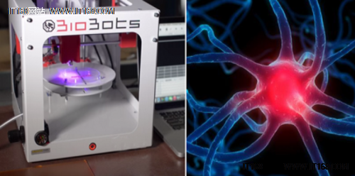 密歇根理工将石墨烯用于3D打印神经组织