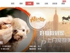 好狗狗上演众筹神话 不到5分钟完成目标
